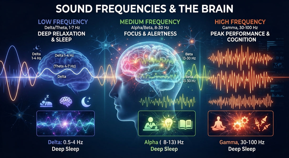 The Science of Sound